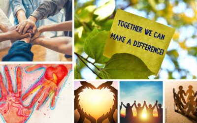 Spotlight:  ILW Foundation Certified as 501(c)(3) Not-for-Profit Organization